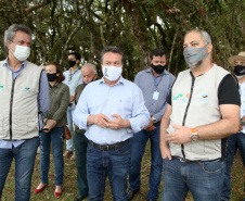 Governo do Estado faz plantio de mudas de araucária. Foto: Ari Dias/AEN