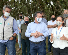 Governo do Estado faz plantio de mudas de araucária. Foto: Ari Dias/AEN