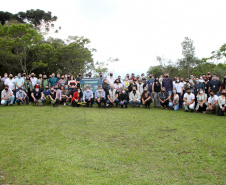 Governo do Estado faz plantio de mudas de araucária. Foto: Ari Dias/AEN