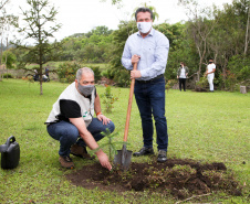 Governo do Estado faz plantio de mudas de araucária. Foto: Ari Dias/AEN