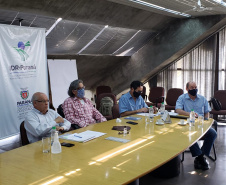 Programa fortalece a produção de uvas e derivados no Paraná. Foto:SEAB