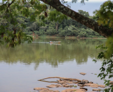 O Instituto Água e Terra (IAT), vinculado à Secretaria do Desenvolvimento Sustentável e do Turismo, informa que inicia neste domingo (1º) o período de restrição à pesca de espécies nativas no Paraná – a piracema. A determinação deve ser cumprida até 28 de fevereiro de 2021. Foto: Geraldo Bubniak/AEN