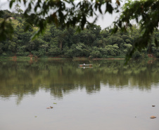 O Instituto Água e Terra (IAT), vinculado à Secretaria do Desenvolvimento Sustentável e do Turismo, informa que inicia neste domingo (1º) o período de restrição à pesca de espécies nativas no Paraná – a piracema. A determinação deve ser cumprida até 28 de fevereiro de 2021.