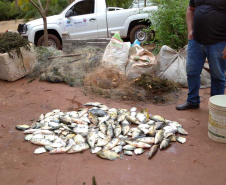 Força-tarefa salva matrizes de peixes e garante repovoamento dos rios. Foto:IAT