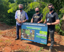 Paraná Mais Verde planta 1.500 árvores em Cianorte.Foto: IAT