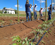 IDR-Paraná usa a internet capacitação conjunta em agricultura orgânica. Foto: IDR