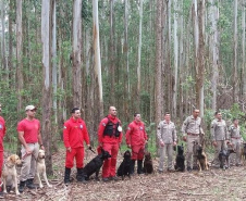 Bombeiros promovem certificação estadual de cães de busca e resgate. Foto: SESP