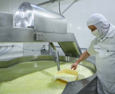 Documento publicado semanalmente pelo Deral mostra que o leite teve queda no preço para o produtor e se refletiu também para o consumidor, devido à maior oferta no mercado e menor demanda.