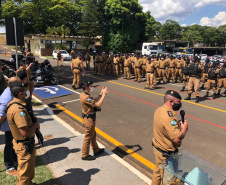 Mais de 500 pessoas são presas e 7 toneladas de maconha e 68 armas apreendidas nas duas etapas da Operação Sinergia. Foto:SESP