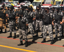 Mais de 500 pessoas são presas e 7 toneladas de maconha e 68 armas apreendidas nas duas etapas da Operação Sinergia. Foto:SESP
