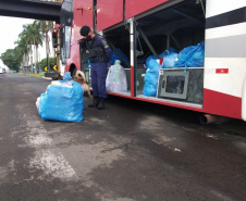 Mais de 500 pessoas são presas e 7 toneladas de maconha e 68 armas apreendidas nas duas etapas da Operação Sinergia. Foto:SESP