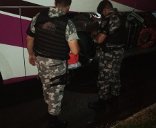 Mais de 500 pessoas são presas e 7 toneladas de maconha e 68 armas apreendidas nas duas etapas da Operação Sinergia. Foto:SESP