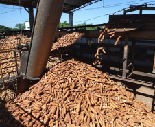 A Amidos Bankhardt, localizada em Paranavaí, existe há 15 anos e produz fécula de mandioca. São 50 funcionários e produção mensal de 1,25 toneladas, sendo que a maior parte é destinada a outras indústrias de transformação. Foto: José Fernando Ogura/AEN