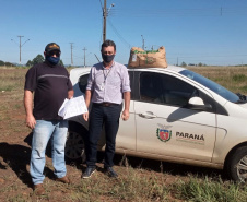 Pequenos agricultores de Rio Bonito do Iguaçu receberam nesta sexta-feira (11) 10.460 quilos de sementes de milho e feijão. Foram beneficiados produtores das comunidades Nova Aliança, Alto Água Morna e Alto Alegre.
Foto: SEAB