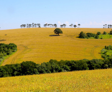 Agropecuária foi base de sustentação da balança comercial.