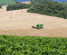 Agropecuária foi base de sustentação da balança comercial