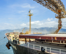 Corredor de Exportação é preparado para demanda de 2021