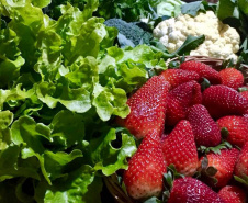 Nações Unidas pretendem usar 2021 como marco na consciência sobre o papel que frutas, vegetais e legumes exercem na nutrição humana, segurança alimentar e saúde, além de contribuir para redução de desperdício.