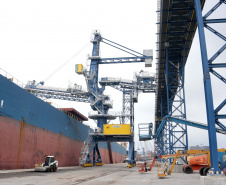 Porto prevê 11% de alta nas exportações de grãos no 1º trimestre.