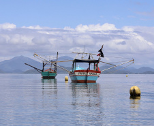 A pesca artesanal, que garante renda para cerca de 6 mil famílias no litoral paranaense, é tema da nova campanha de educação ambiental da Portos do Paraná. A empresa pública promove ações de comunicação e valorização da atividade, aproveitando o aumento no número de veranistas nas praias do Estado.