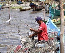 A pesca artesanal, que garante renda para cerca de 6 mil famílias no litoral paranaense, é tema da nova campanha de educação ambiental da Portos do Paraná. A empresa pública promove ações de comunicação e valorização da atividade, aproveitando o aumento no número de veranistas nas praias do Estado.