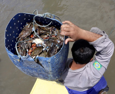 A pesca artesanal, que garante renda para cerca de 6 mil famílias no litoral paranaense, é tema da nova campanha de educação ambiental da Portos do Paraná. A empresa pública promove ações de comunicação e valorização da atividade, aproveitando o aumento no número de veranistas nas praias do Estado.