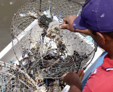 A pesca artesanal, que garante renda para cerca de 6 mil famílias no litoral paranaense, é tema da nova campanha de educação ambiental da Portos do Paraná. A empresa pública promove ações de comunicação e valorização da atividade, aproveitando o aumento no número de veranistas nas praias do Estado.