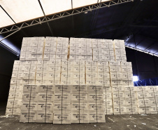 O volume de cargas importadas e exportadas em contêineres em 2020, pelo Porto de Paranaguá, aumentou 6% em relação a 2019. Foram 8.541.091 toneladas, 508.664 toneladas a mais que no ano anterior. Os produtos conteinerizados representam 14,9% da movimentação geral dos portos do Paraná.