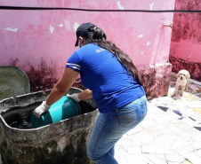 A Secretaria de Estado da Saúde divulgou nesta terça-feira (12) o primeiro boletim de 2021 com os dados do monitoramento da dengue no Estado. A Secretaria da Saúde realiza neste momento força-tarefa para atendimento a um surto no município de Sengés, na região dos Campos Gerais. As equipes detectaram e removeram de forma mecânica centenas de criadouros em recipientes usados para armazenar água como baldes, caixas d´água e tanques.  -  Foto: Divulgação SESA