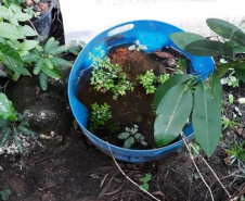A Secretaria de Estado da Saúde divulgou nesta terça-feira (12) o primeiro boletim de 2021 com os dados do monitoramento da dengue no Estado. A Secretaria da Saúde realiza neste momento força-tarefa para atendimento a um surto no município de Sengés, na região dos Campos Gerais. As equipes detectaram e removeram de forma mecânica centenas de criadouros em recipientes usados para armazenar água como baldes, caixas d´água e tanques.  -  Foto: Divulgação SESA