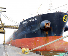 No berço 204, a oeste do cais do Porto de Paranaguá, o embarque de um novo produto chamou a atenção nesse início de semana. A granel, pellets de bagaço de cana-de-açúcar encheram os porões do navio Marina Prince. A biomassa é produto de exportação que vai atender o mercado do Reino Unido na geração de energia sustentável. A operação está sendo concluída nesta terça-feira (12).