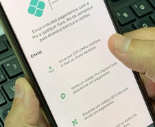 A tecnologia sem dúvida é uma grande aliada nos dias atuais e facilita a vida de muita gente, mas todo o cuidado é pouco com os golpes digitais. Para isso, o Procon-PR, órgão vinculado a Secretaria da Justiça, Família e Trabalho do Paraná orienta o consumidor sobre os cuidados que devem ser tomados com os golpes, agora através do PIX.  -  Curitiba, 14/01/2021  -  Foto: Divulgação SEJUF