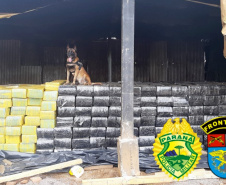 Com apoio do Estado, BPFron faz maior apreensão de drogas da história da unidade
. Foto: PMPR