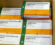 Governo começa a distribuir vacinas no Interior do Paraná.
Foto: Gilson Abreu/AEN
19.01.2021
