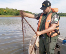 Força-Tarefa reforça combate à pesca predatória e desmatamento no Paraná. FOTO:SEDEST