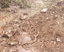 Força-Tarefa reforça combate à pesca predatória e desmatamento no Paraná. FOTO:SEDEST