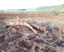 Força-Tarefa reforça combate à pesca predatória e desmatamento no Paraná. FOTO:SEDEST