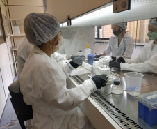 Laboratórios do IAT recebem recomendação para acreditação do Inmetro.Foto: IAT