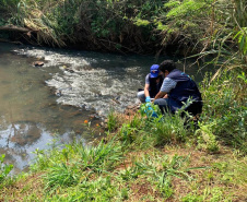 O Instituto Água e Terra (IAT), vinculado à Secretaria do Desenvolvimento Sustentável e do Turismo, recebeu recomendação para acreditação dos seus laboratórios ambientais de Curitiba e Londrina.  -  Foto: Divulgação IAT