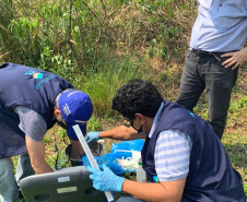 O Instituto Água e Terra (IAT), vinculado à Secretaria do Desenvolvimento Sustentável e do Turismo, recebeu recomendação para acreditação dos seus laboratórios ambientais de Curitiba e Londrina.  -  Foto: Divulgação IAT