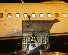 As vacinas Oxford/AstraZeneca, desenvolvidas em parceria com a Fundação Oswaldo Cruz (Fiocruz), devem chegaram no Aeroporto Internacional Afonso Pena, em São José dos Pinhais, na Região Metropolitana de Curitiba. 
