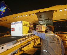 As vacinas Oxford/AstraZeneca, desenvolvidas em parceria com a Fundação Oswaldo Cruz (Fiocruz), devem chegaram no Aeroporto Internacional Afonso Pena, em São José dos Pinhais, na Região Metropolitana de Curitiba. 
