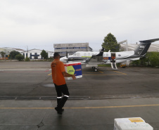 
Foto: Gilson Abreu/AEN