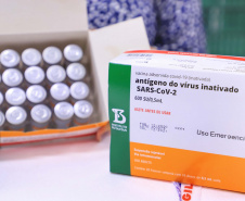 O Paraná recebeu nesta segunda-feira (25) um novo lote de vacinas com 39.600 doses contra a Covid-19, o terceiro em uma semana. Os imunizantes serão usados prioritariamente na proteção dos trabalhadores que estão na linha de frente do combate à pandemia, já que a Secretaria de Estado da Saúde (Sesa) confirmou que finalizou o processo de vacinação de dois importantes setores dentro do grupo prioritário. 