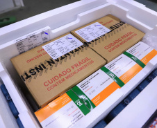 O Paraná recebeu nesta segunda-feira (25) um novo lote de vacinas com 39.600 doses contra a Covid-19, o terceiro em uma semana. Os imunizantes serão usados prioritariamente na proteção dos trabalhadores que estão na linha de frente do combate à pandemia, já que a Secretaria de Estado da Saúde (Sesa) confirmou que finalizou o processo de vacinação de dois importantes setores dentro do grupo prioritário. 