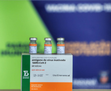 O Paraná recebeu nesta segunda-feira (25) um novo lote de vacinas com 39.600 doses contra a Covid-19, o terceiro em uma semana. Os imunizantes serão usados prioritariamente na proteção dos trabalhadores que estão na linha de frente do combate à pandemia, já que a Secretaria de Estado da Saúde (Sesa) confirmou que finalizou o processo de vacinação de dois importantes setores dentro do grupo prioritário. 