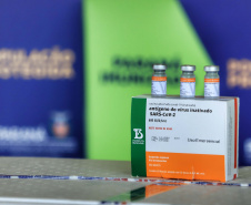 O Paraná recebeu nesta segunda-feira (25) um novo lote de vacinas com 39.600 doses contra a Covid-19, o terceiro em uma semana. Os imunizantes serão usados prioritariamente na proteção dos trabalhadores que estão na linha de frente do combate à pandemia, já que a Secretaria de Estado da Saúde (Sesa) confirmou que finalizou o processo de vacinação de dois importantes setores dentro do grupo prioritário. 