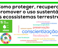 Ecossistemas terrestres dependem de conscientização e de políticas públicas  -  Foto/Arte: Divulgação SEDU