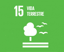 Ecossistemas terrestres dependem de conscientização e de políticas públicas  -  Foto/Arte: Divulgação SEDU