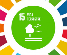 Ecossistemas terrestres dependem de conscientização e de políticas públicas  -  Foto/Arte: Divulgação SEDU